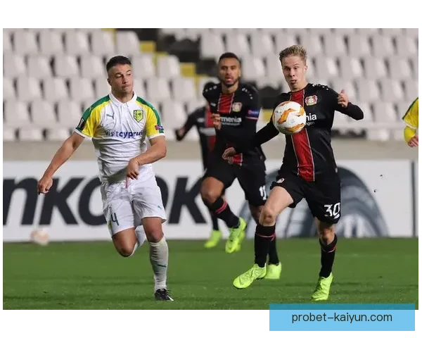 匈牙利国家队魔术师近期表现稳健，持续提升球队竞争力